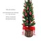 Cute Miniature Christmas Tree & Removable Red Mini Ornaments, Adorabilities